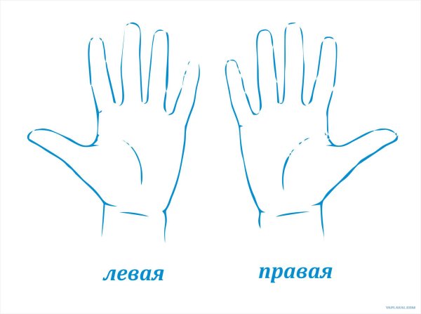 Левая и правая рука для детей