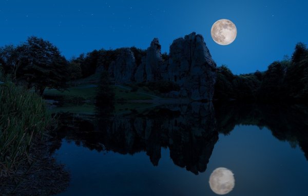 Ночная природа