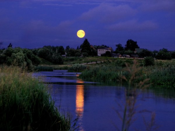 Лунная ночь в деревне