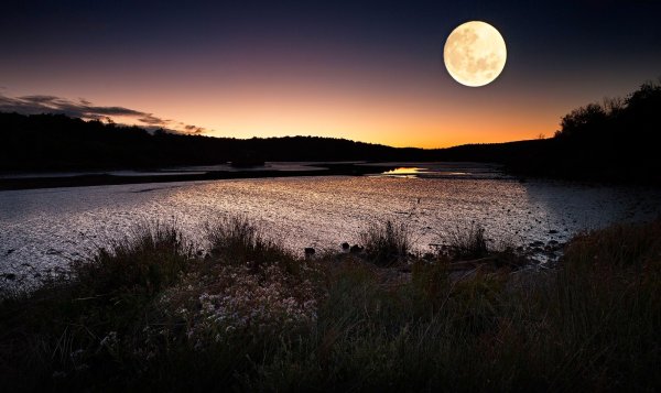 Лунная ночь картинки (49 фото)