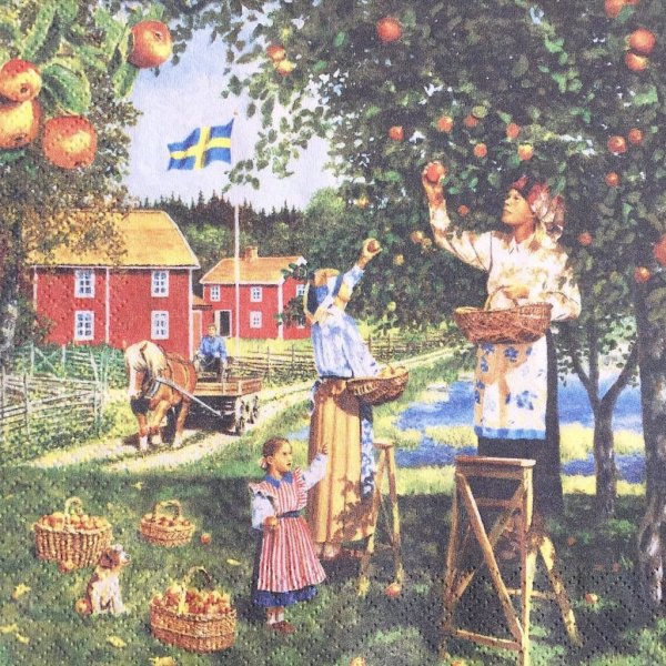 Осенний сбор урожая