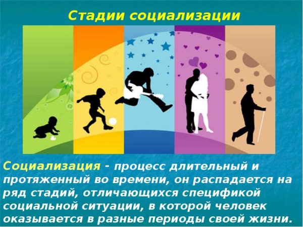 Социализация картина