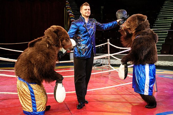 Вадим Канбегов
