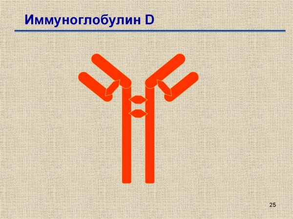 Секреторный и сывороточный иммуноглобулин а