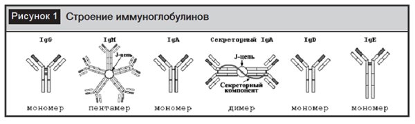 Иммуноглобулины класса д