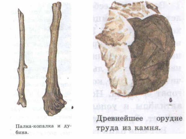 Палка копалка древних людей