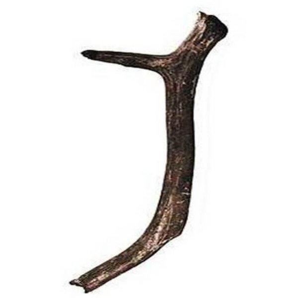 Палка копалка орудие древнего человека