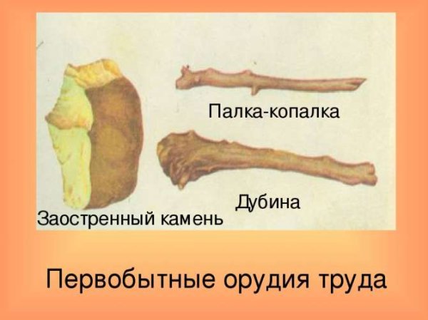Орудие труда палка копалка и Дубина