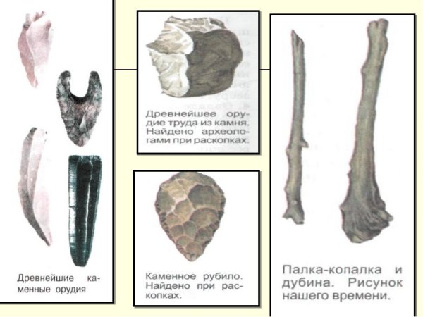 Палка копалка орудие труда древнейших людей