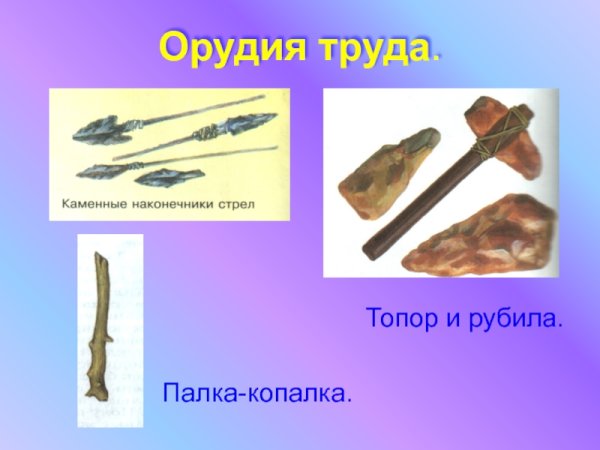 Орудия труда древнего человека палка копалка