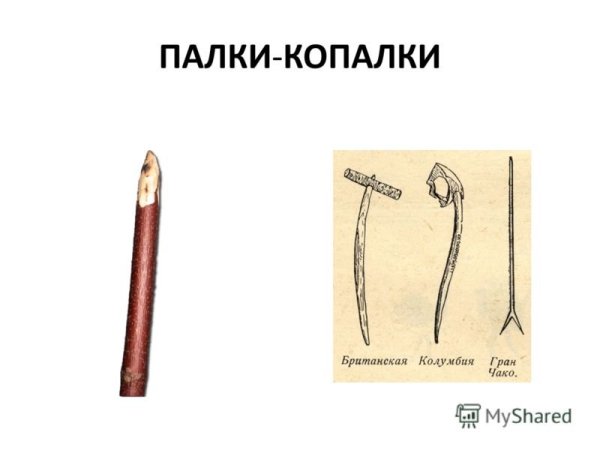 Орудия труда первобытного человека палка копалка