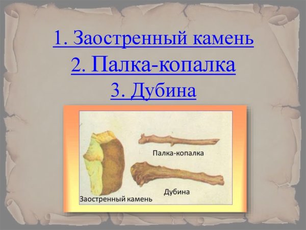 Первое орудие труда палка копалка