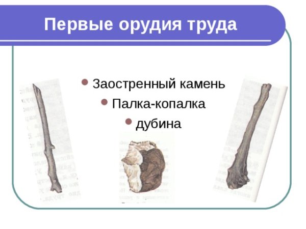 Орудие труда заостренный камень палка копалка Дубина