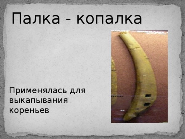 Палка копалка и Дубина