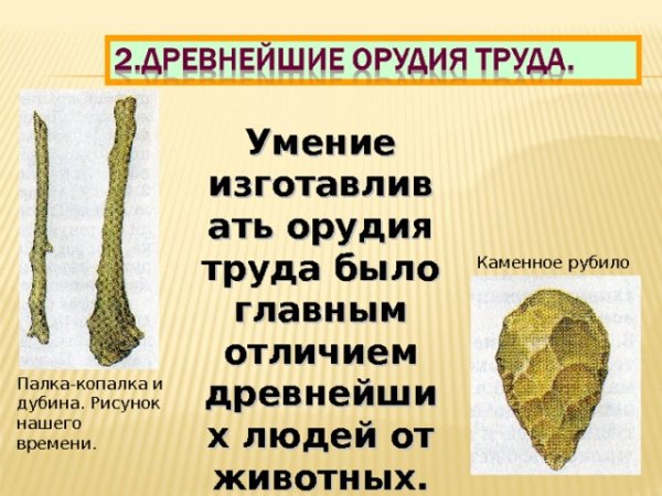 Древнейшие орудия труда палка-копалка