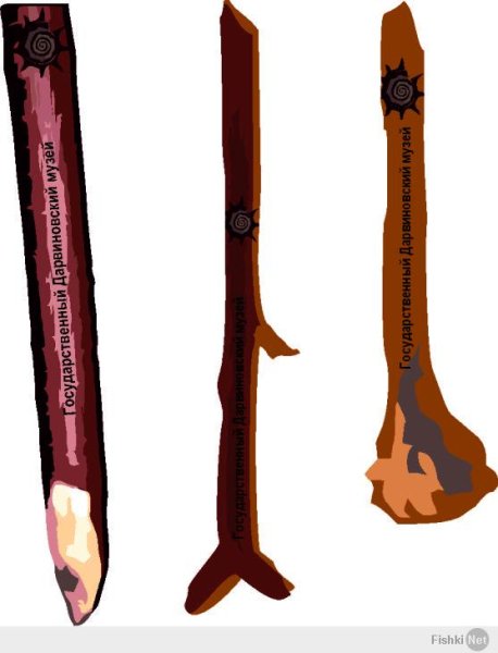 Палка копалка орудие древнего человека