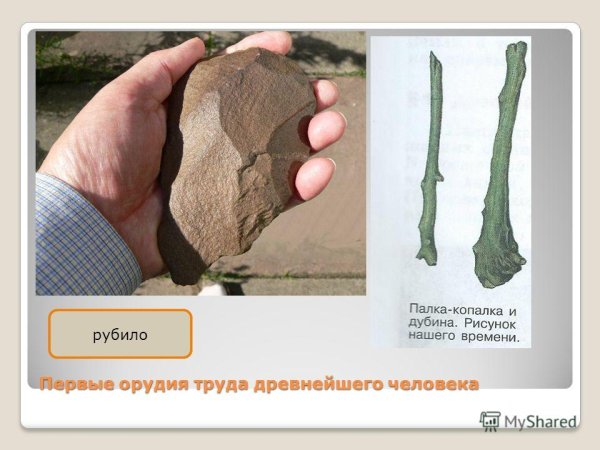 Палка копалка и рубило