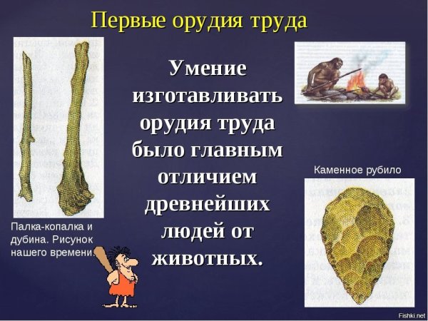 Палка копалка орудие труда древнейших людей