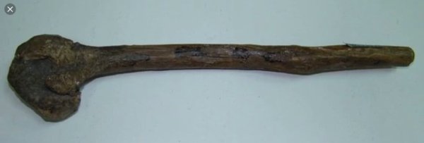 Орудия труда древнего человека Дубина