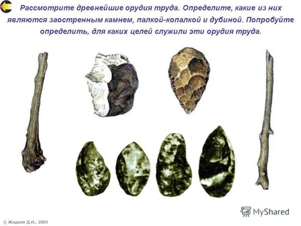 Палка копалка гарпун копье Дубина заостренный камень это