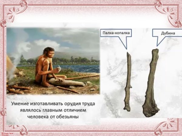 Палка копалка и дубинка