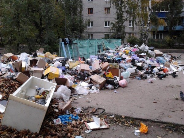 Мусорный бак на свалке