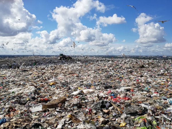 Свалка в Москве