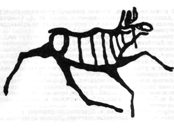 Томская писаница петроглифы лоси