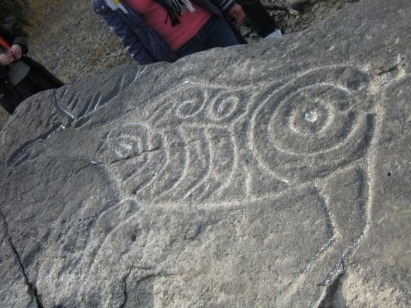 Лось петроглифы сикачи-Аляна