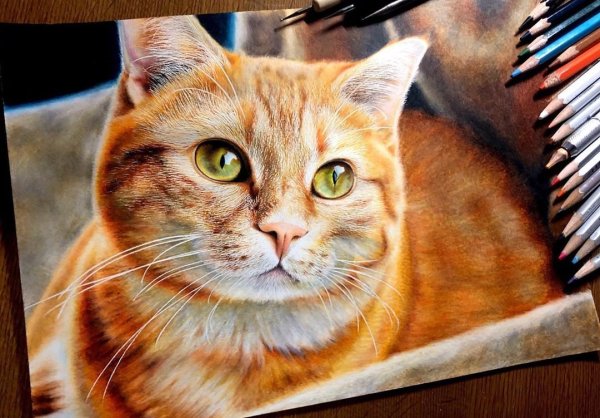 Кошка реалистичная