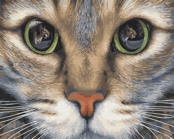 Морда кота