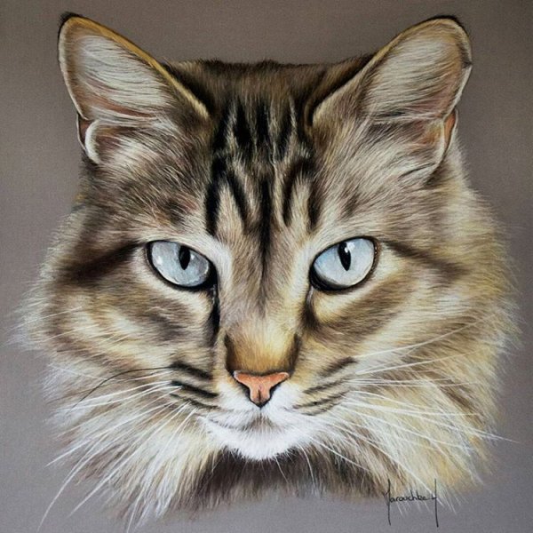 Рисование морды кота