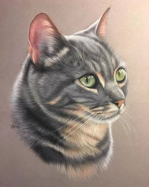 Портрет кота