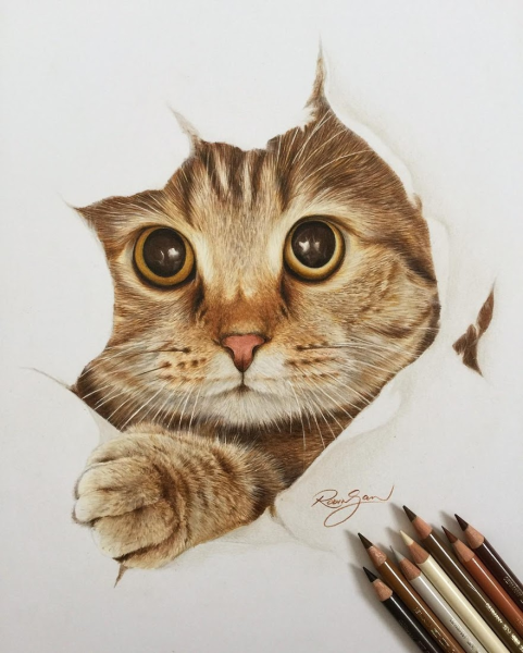 Кошка цветными карандашами