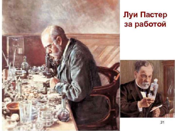 Французский ученый Луи Пастер открыл: