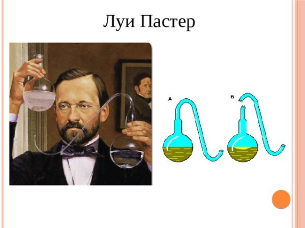 Луи Пастер что опроверг