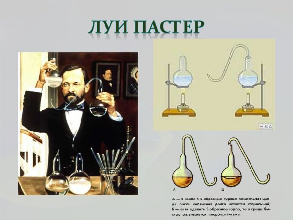 Луи Пастер метод пастеризации