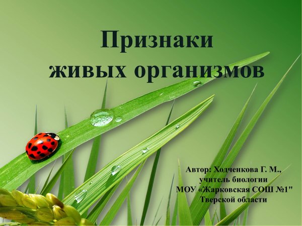 Письмо благодарность растениям