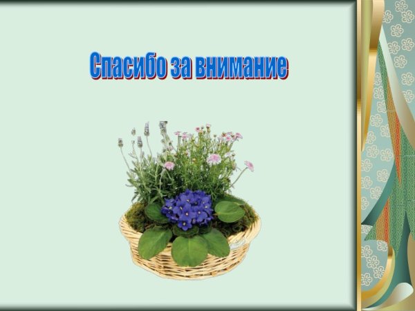 Благодарное письмо растениям