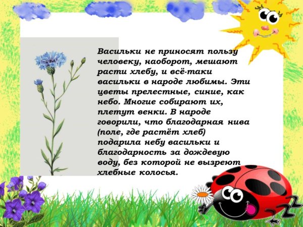 Благодарственное письмо растениям