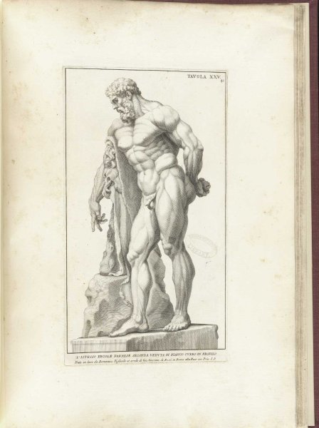 Гипсовая голова Геракла рисунок