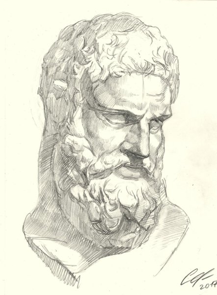 Геракл Фарнезский Anatomy