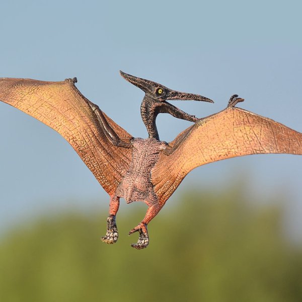 Динозавры летающие птеродактиль