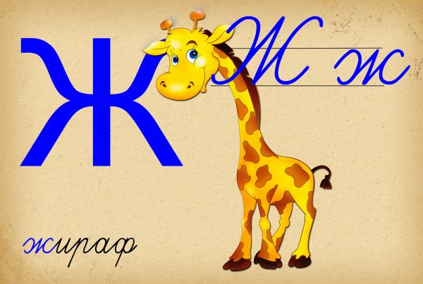 Буква ж для детей