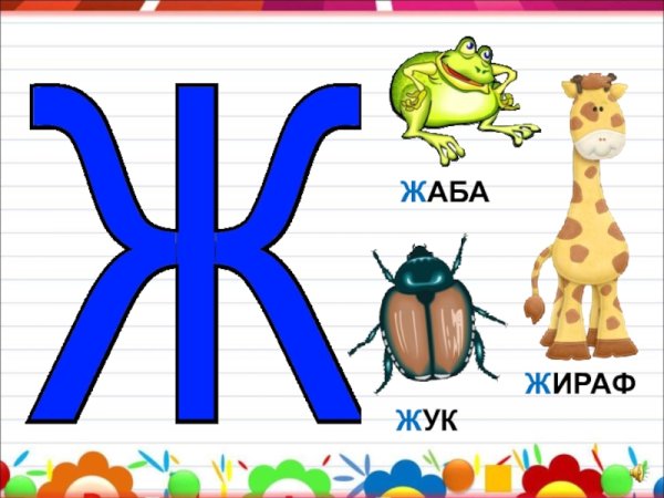 Буква ж