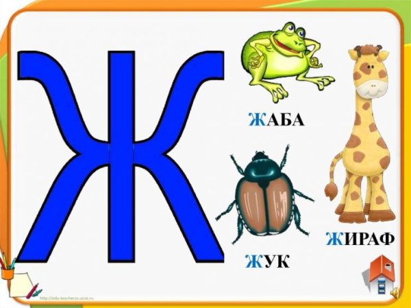 Рисунок на букву ж