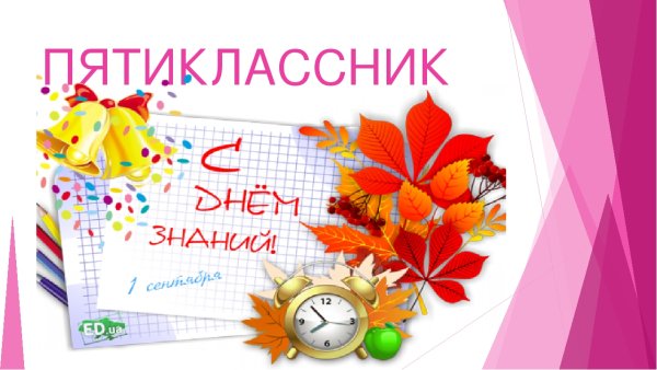 Плакат пятиклассникам