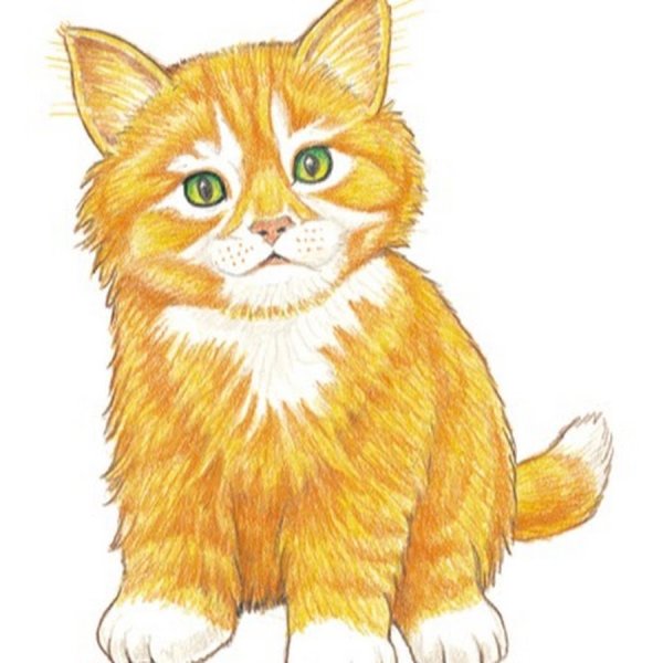 Кошка рисунок для детей