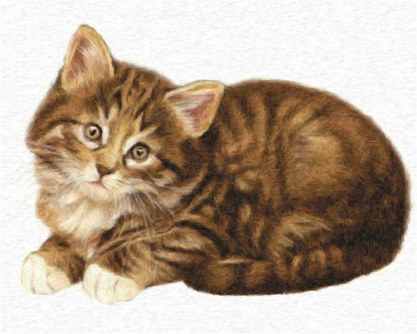 Изображение кошки для детей