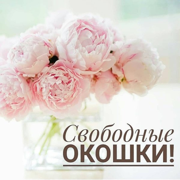 Свободные окошки